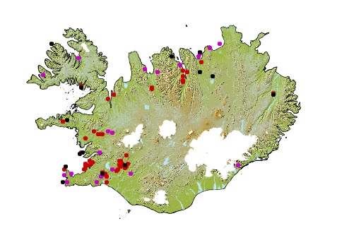 overview
